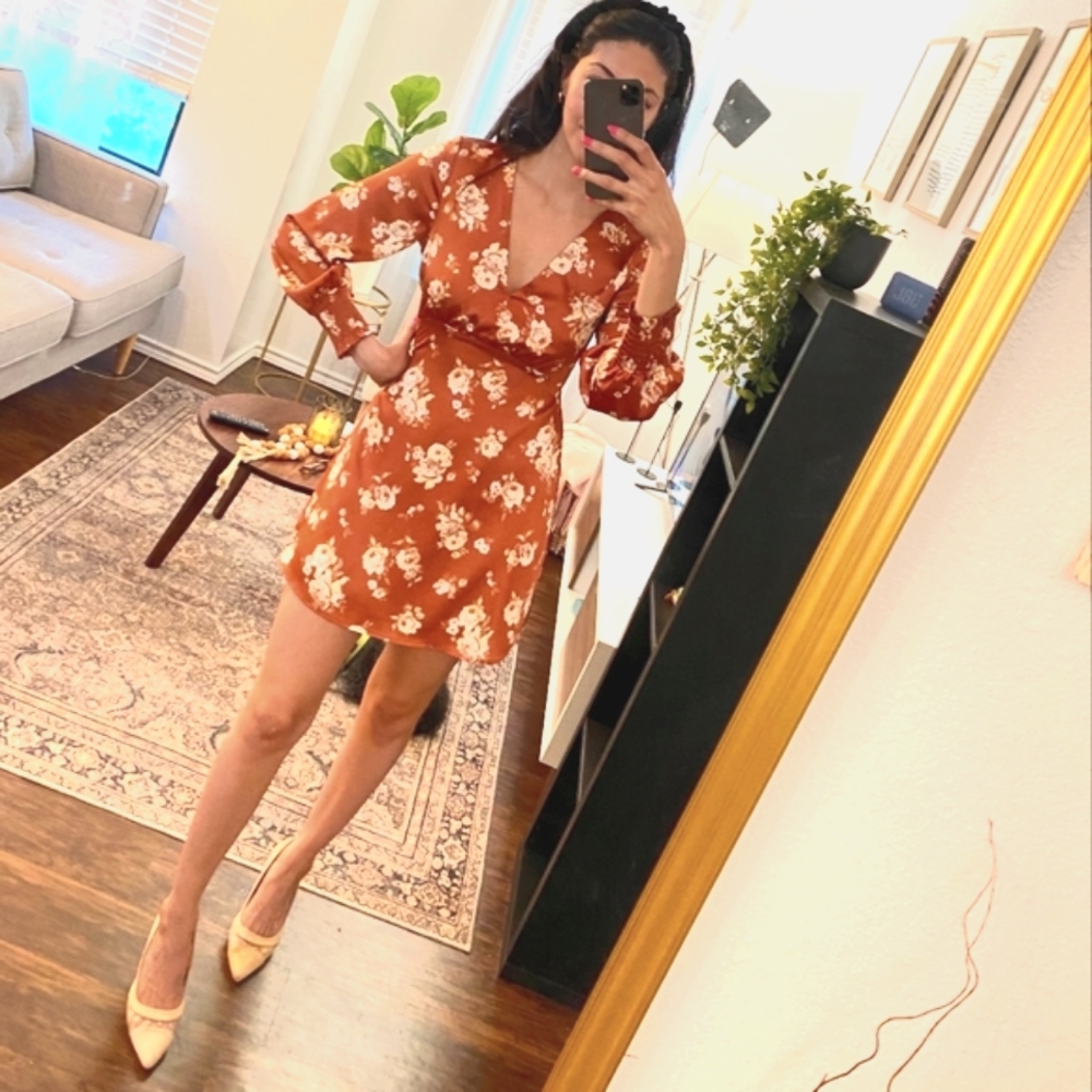 Small Francesca's Copper dress